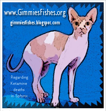 Visit GimmiesFishes @ Blogspot for more information on Ketamine deaths in Sphynx